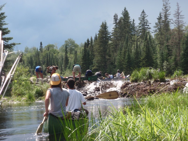 Damn beavers!  looks like everyone is checking for leeches