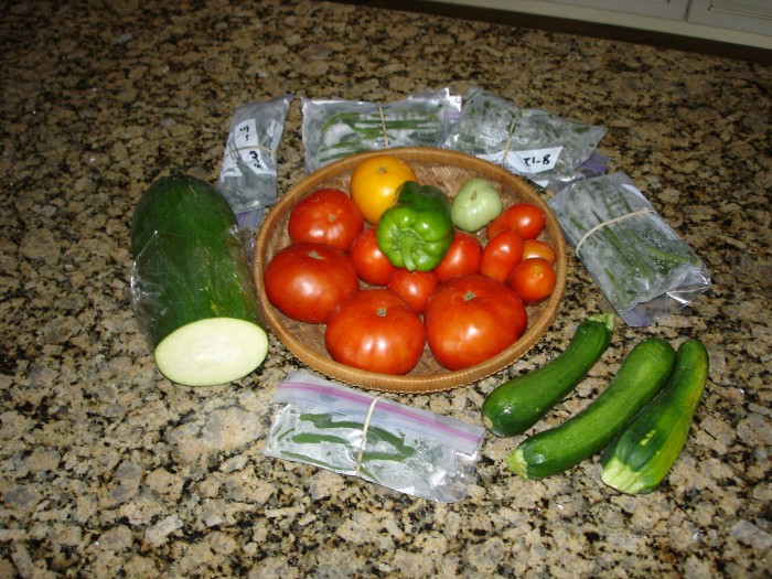 The Harvest.  Not shown: hundreds of little tomatoes.