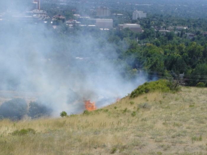 I took this just as we first noticed the fire.  Notice the clump of brush.