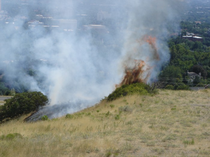 Fire hits the oak brush.  Two black stmps are all that's left.