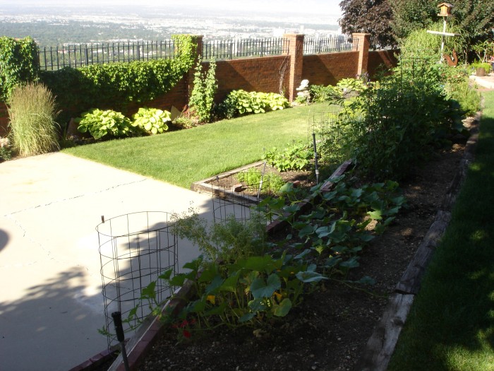 Back yard 003.jpg (2.28 MiB) Viewed 11802 times The flowers were great.