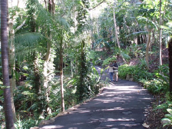 Mt Coot-tha 007.jpg